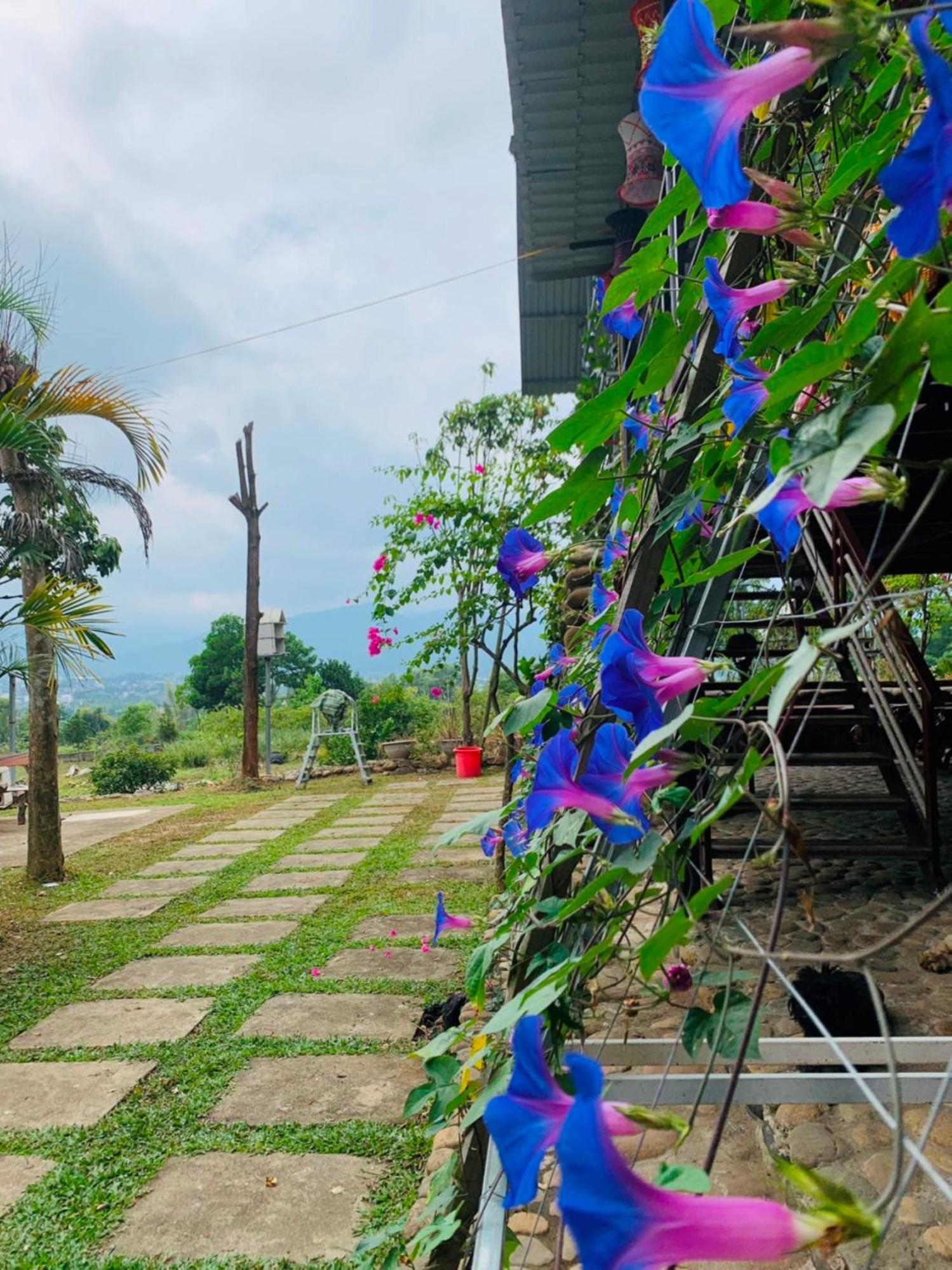 Homestay Nha Cua Mi - Mi'S House Yen Bai Exterior photo