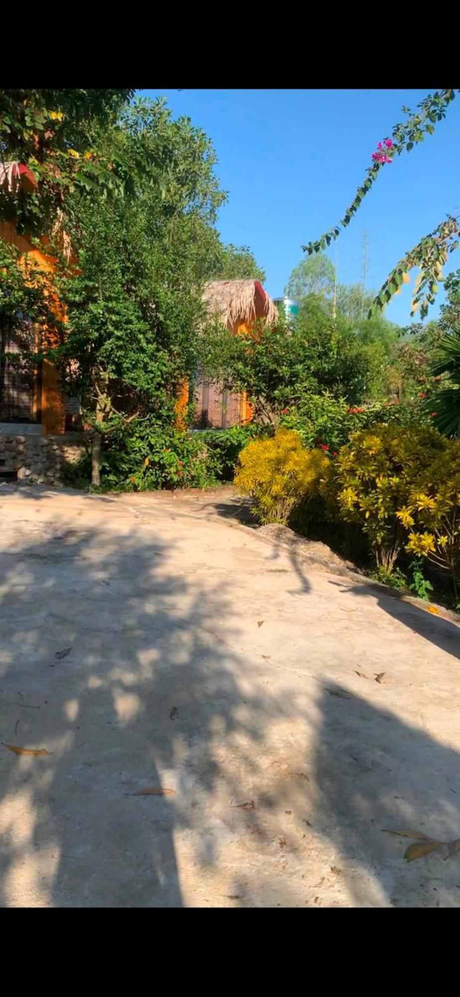 Homestay Nha Cua Mi - Mi'S House Yen Bai Exterior photo